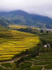 Wushan Terraces