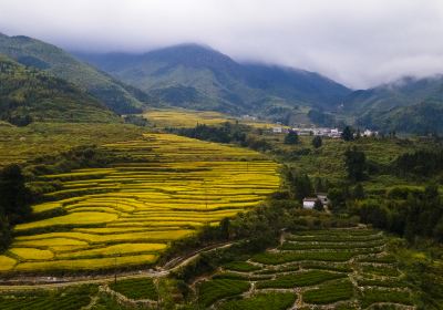 Wushan Terraces