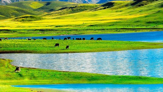 祁连山国家公园地处青藏高原东北部边缘，由一系列西北至东南走向