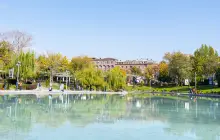 Лебединое оз.