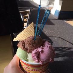 IL Dolce Freddo User Photo