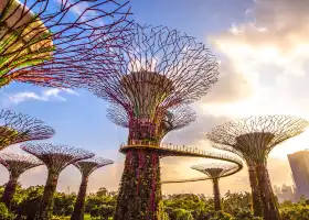 Gardens by the Bay