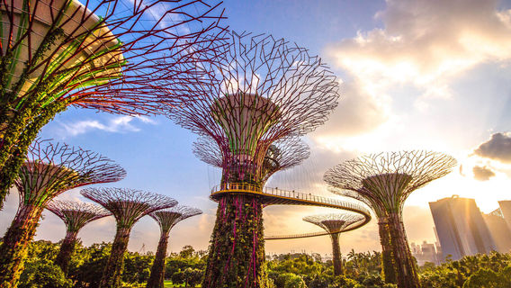 SingaporeTours