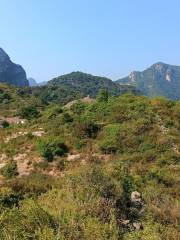 Tai'an Mountain Nature Reserve