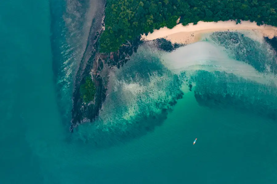 Langkawi Coral