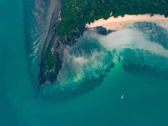 Langkawi Coral