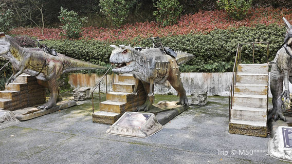 mu hua shi kong long yuan