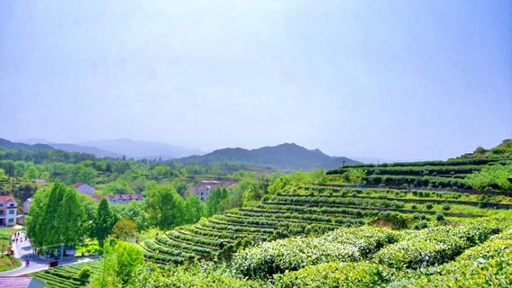 Yingshan