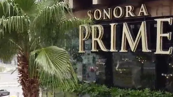 Sonora Grill Prime Monterrey