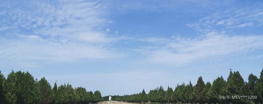 Starting Point of the Qin Straight Road