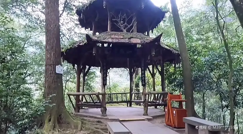 천연도화방 주변 호텔