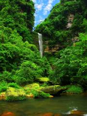 Gaodiedong Waterfall