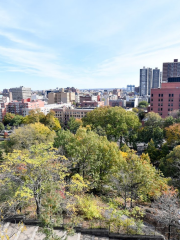 Marcus Garvey Park