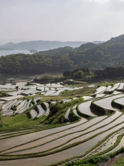 大浦の棚田展望台