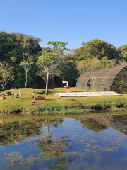 Jardim Botânico de Goiânia