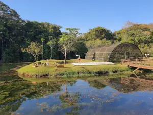 Jardim Botânico de Goiânia