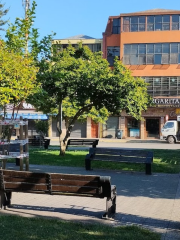 Plaza de armas de Tomé