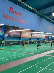 Boli Badminton Chengdu Training Hall