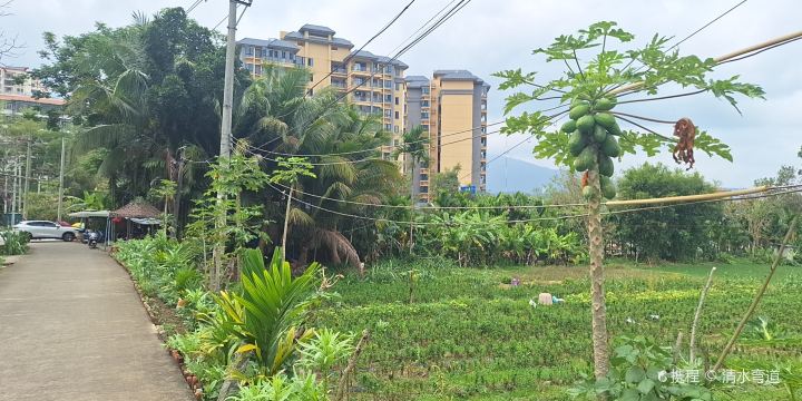Fanmao Li Village
