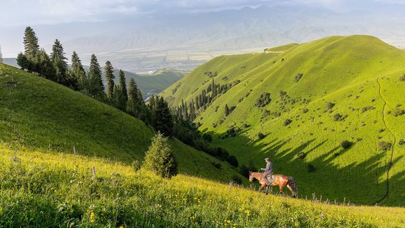 Horse Riding in Nalati