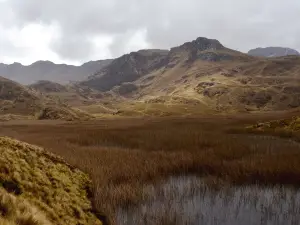 Cajas National Park