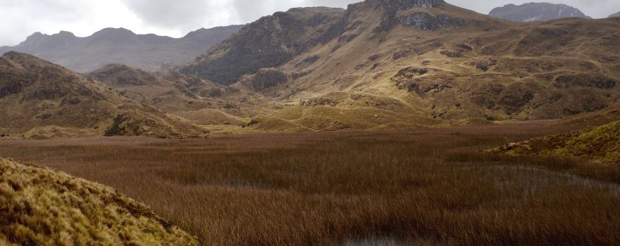 Cajas National Park