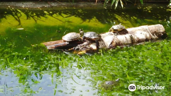 Parc Zoologique de Maubeuge