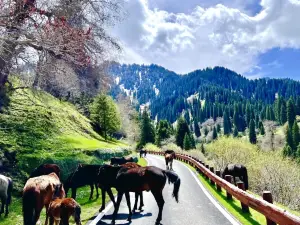 Panlong Valley Road