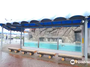 Uozu Aquarium