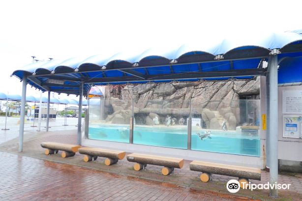 Uozu Aquarium