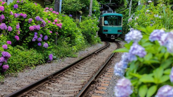 รถไฟเอโนชิมะ