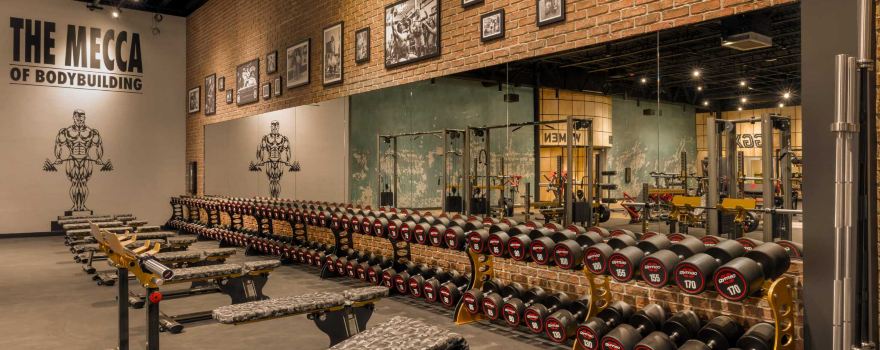 Gold's Gym