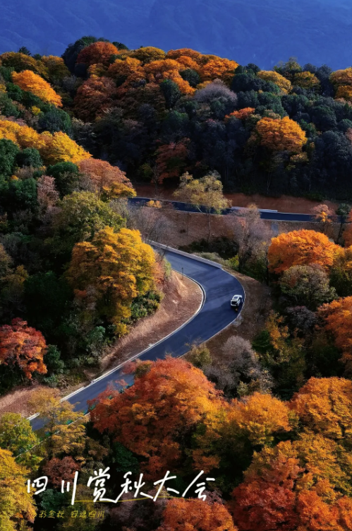 2024年四川省生態旅遊節 | 旺蒼