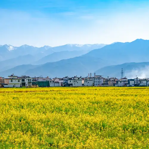 Top 10 Family-friendly Attractions in Dali City