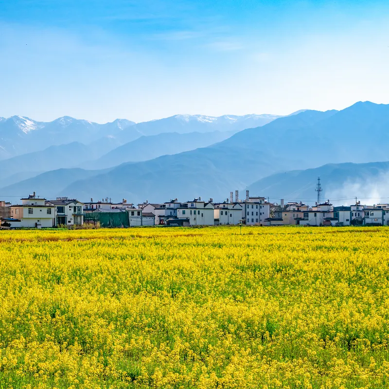喜洲
