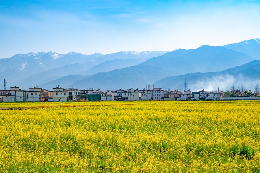 喜洲