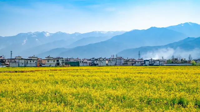 喜洲