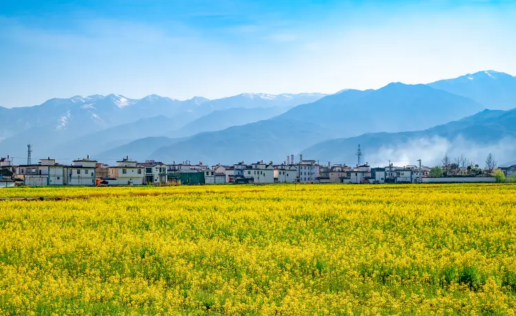 大理市 10 大家庭親子景點