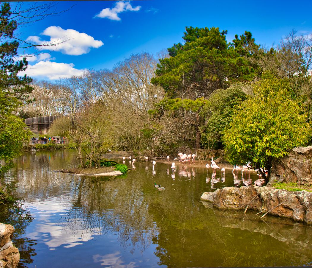 6th arr.Parc de la Tête d'Or / Cité Internationale