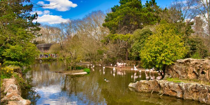 Parc de la Tête d'Or