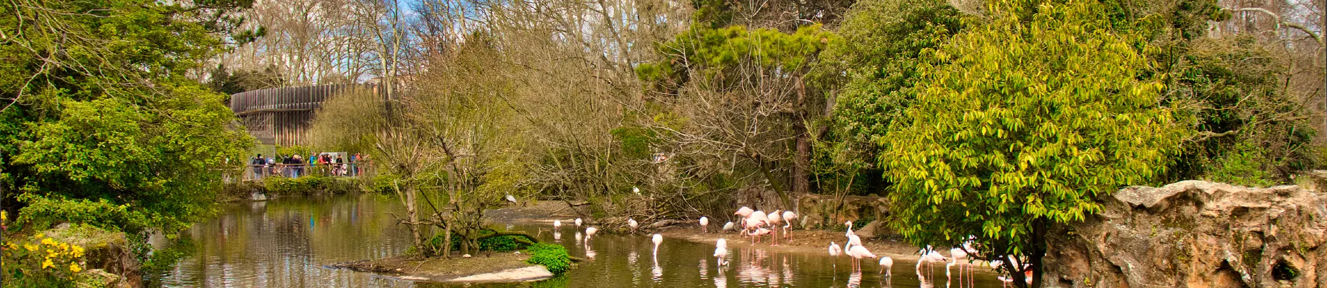 Family-Friendly Attractions