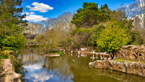 Parc de la Tête d'Or