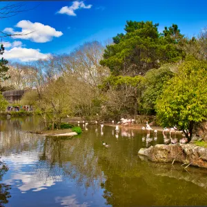 金頭公園