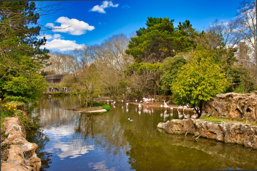 金頭公園