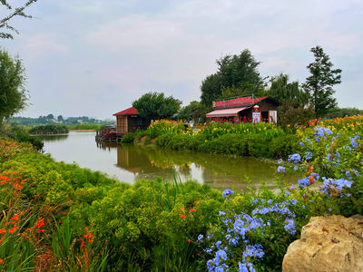 Qilin Water Town