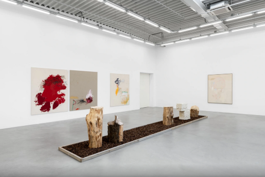 Jenny Brosinski: In my cloud (NO birds) | Almine Rech Gallery