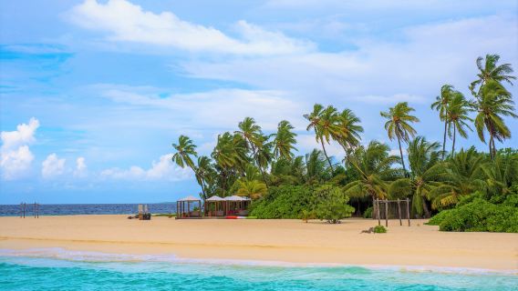 Hadahaa