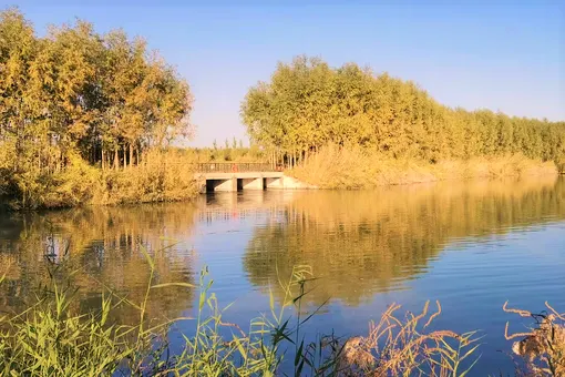 Attrazioni per la visione autunnale