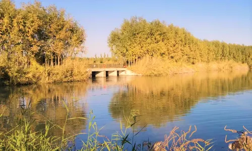 National Wetland Park