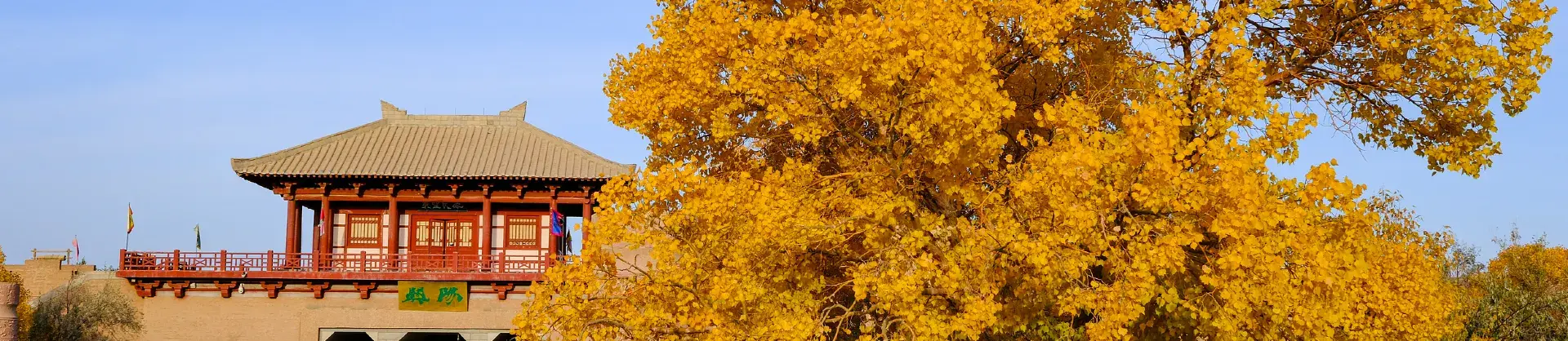 Attrazioni per la visione autunnale